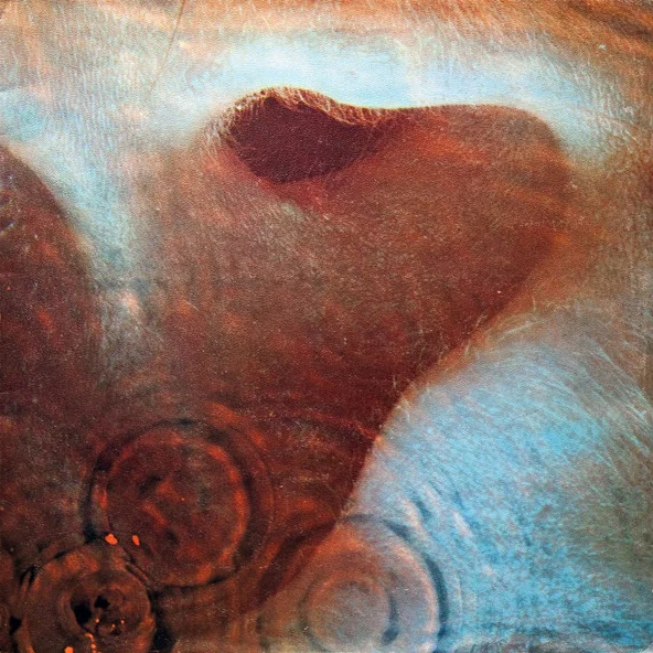 Cover of Meddle