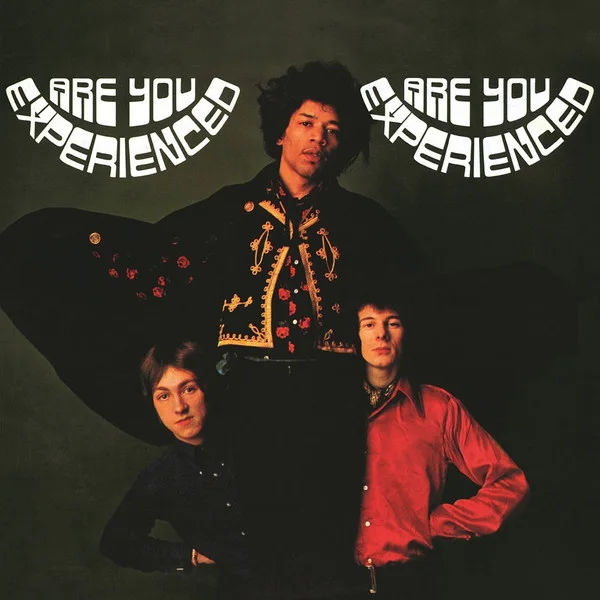 Cover of Are You Experienced