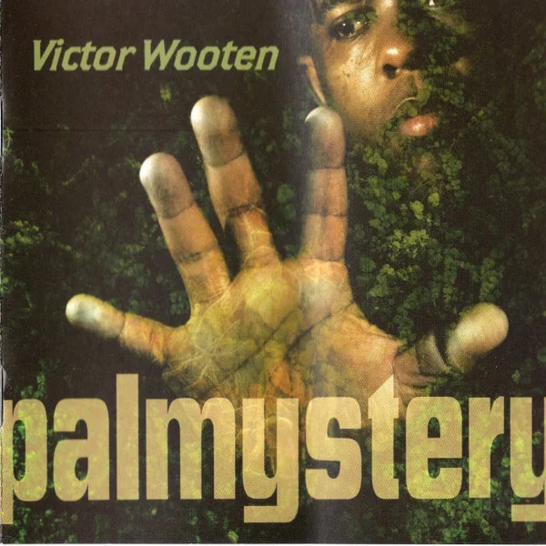 Cover of Palmystery