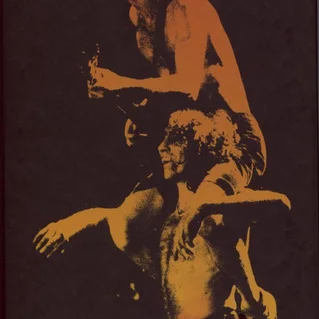 Cover of Bonfire
