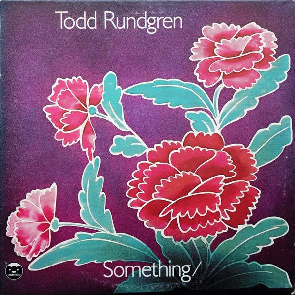 Cover of Something / Anything?