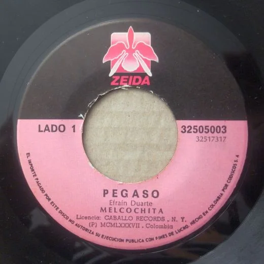 Cover of Pegaso