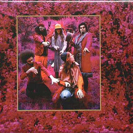 Cover of Grow Fins: Rarities (1965-1982)