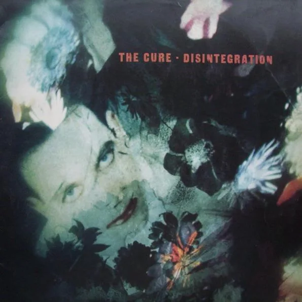 Cover of Disintegration