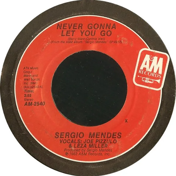 Cover of Never Gonna Let You Go