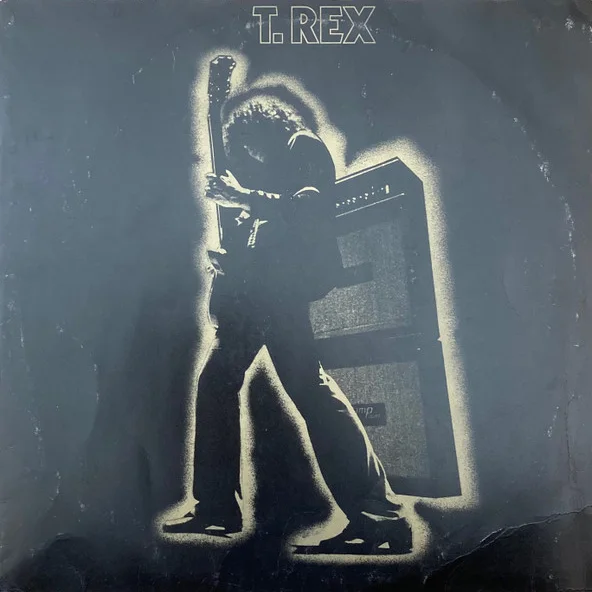 Cover of Electric Warrior