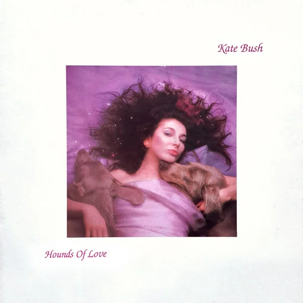 Cover of Hounds Of Love