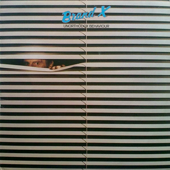Cover of Unorthodox Behaviour
