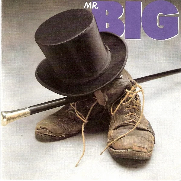 Cover of Mr. Big