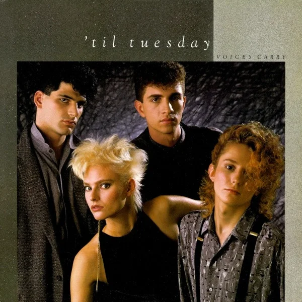 Cover of Voices Carry