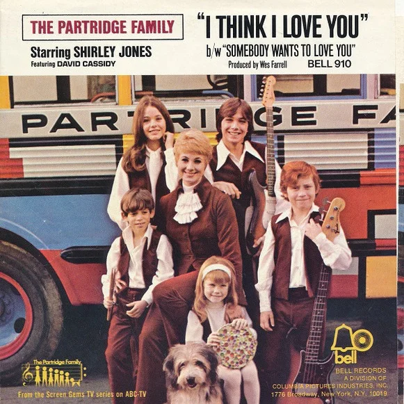 Cover of I Think I Love You