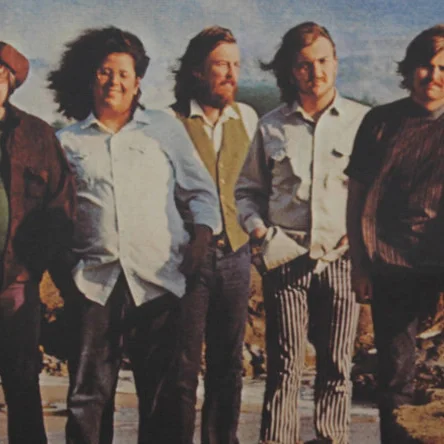 The Turtles