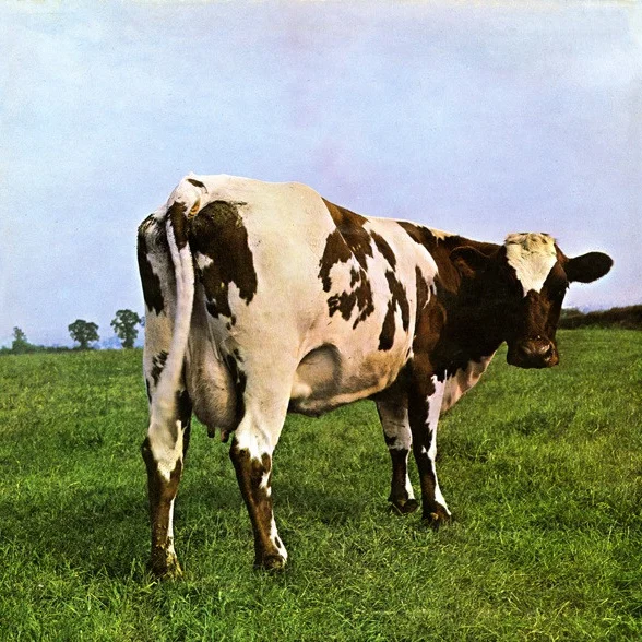 Cover of Atom Heart Mother