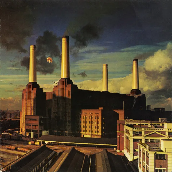 Cover of Animals