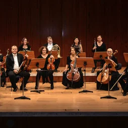 Südwestdeutsches Kammerorchester
