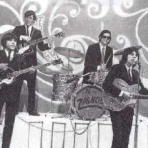 Los Zignos